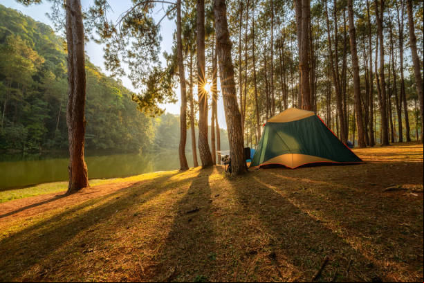 camping Imagem representativa de camping